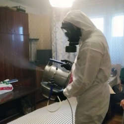 Дезинфекция от клопов в Зуевке