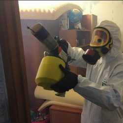 Уничтожение клопов в квартире. Зуевка